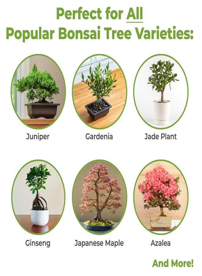 PERFECT PLANTS تربة بونساي من بيرفكت بلانتس - 8 كوارت. مزيج ممتاز متعدد الأغراض | مثالي للعديد من أشجار البونساي | مصنوع بكميات صغيرة في الولايات المتحدة الأمريكية - Image 3